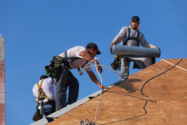 Best Shingle Roofing Installation  in La Center, WA