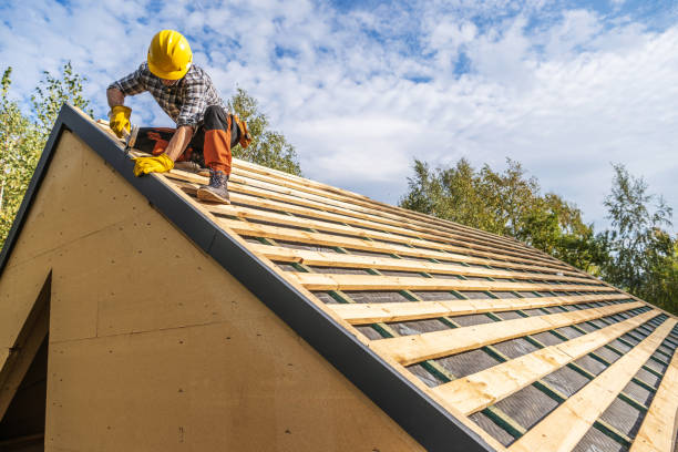 Roof Gutter Cleaning in La Center, WA